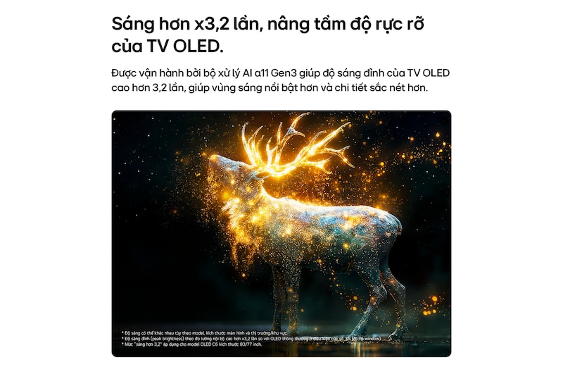 LG OLED evo AI C6 with Brightness Booster shows a dark scene where a brilliantly illuminated peacock spreads its radiant, glowing feathers, delivering brighter highlights with improved detail and striking contrast.